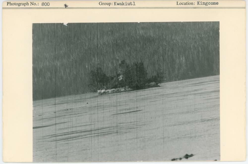 Image representing photograph.