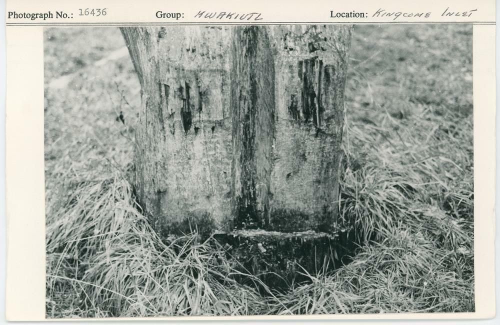 Image representing photograph.