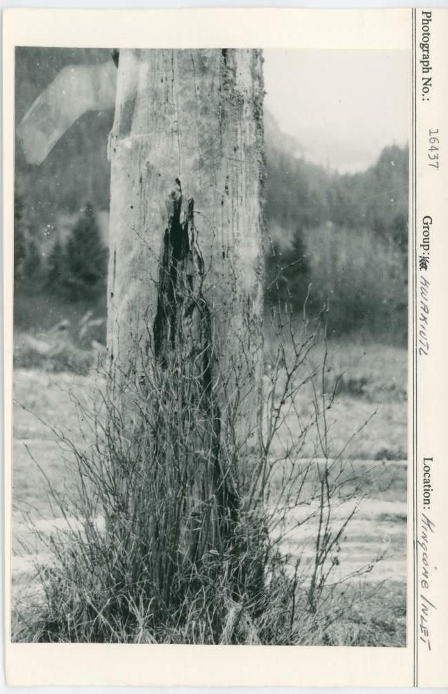 Image representing photograph.