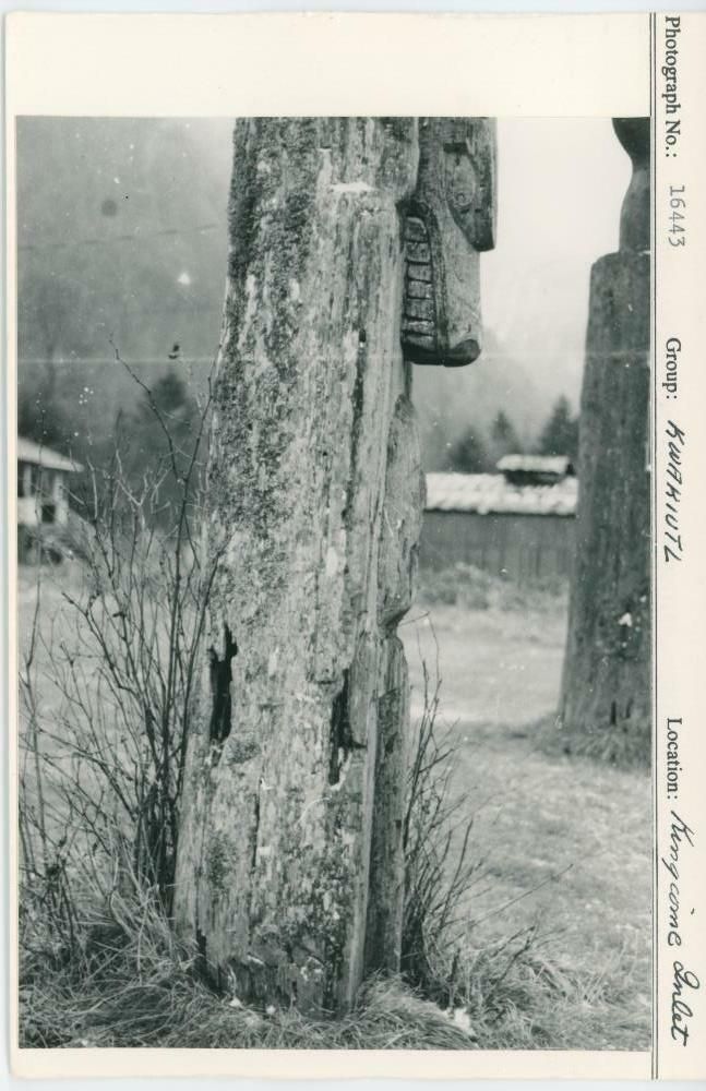 Image representing photograph.