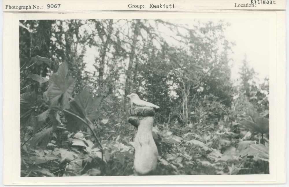 Image representing photograph.