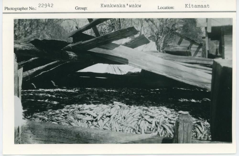 Image representing photograph.