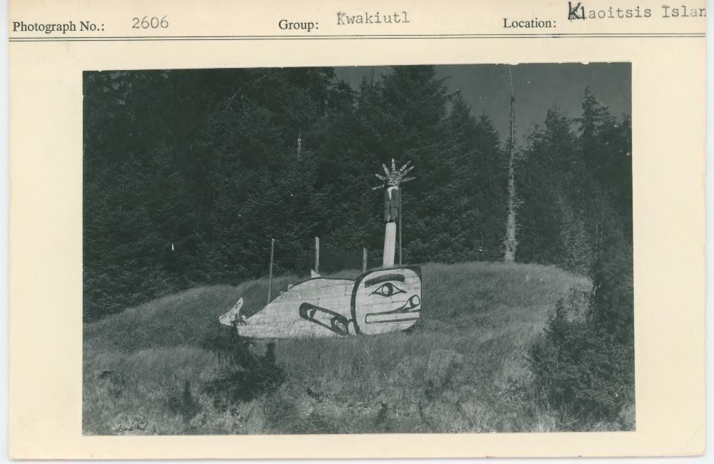 Image representing photograph.