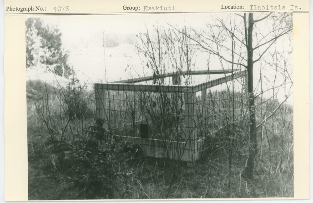 Image representing photograph.