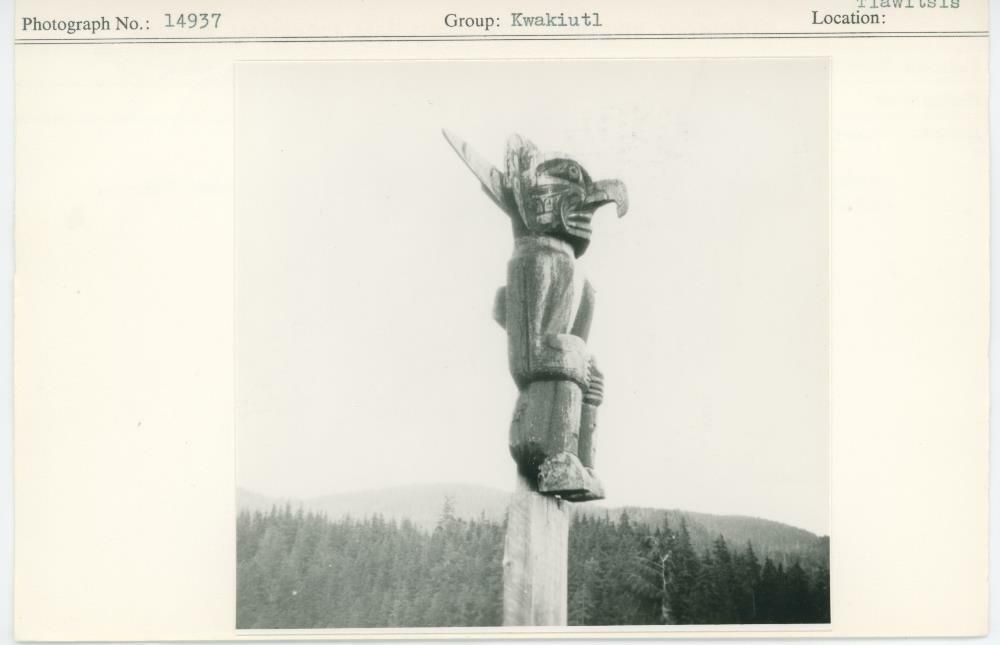 Image representing photograph.