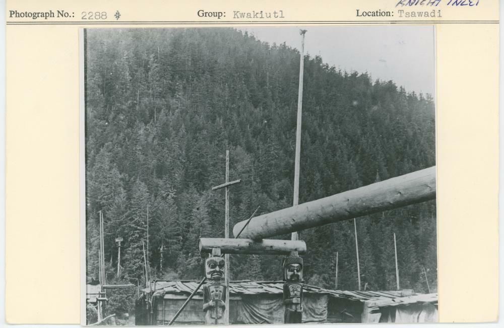 Image representing photograph.