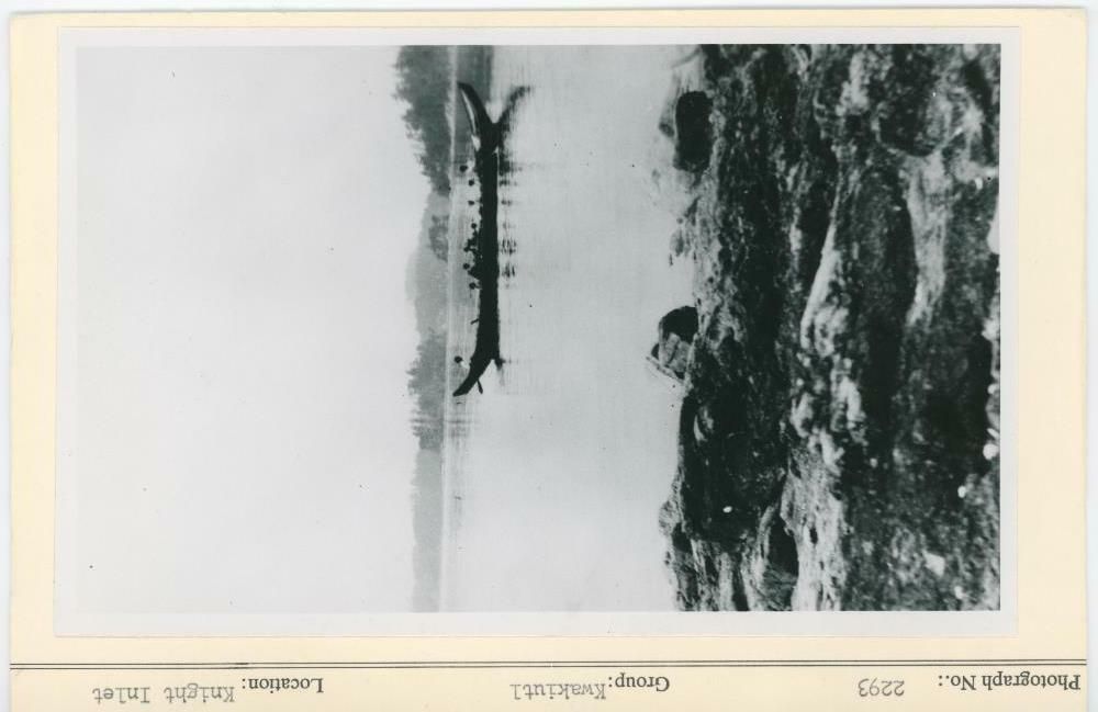 Image representing photograph.