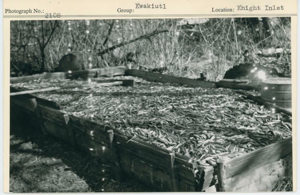 Image representing photograph.