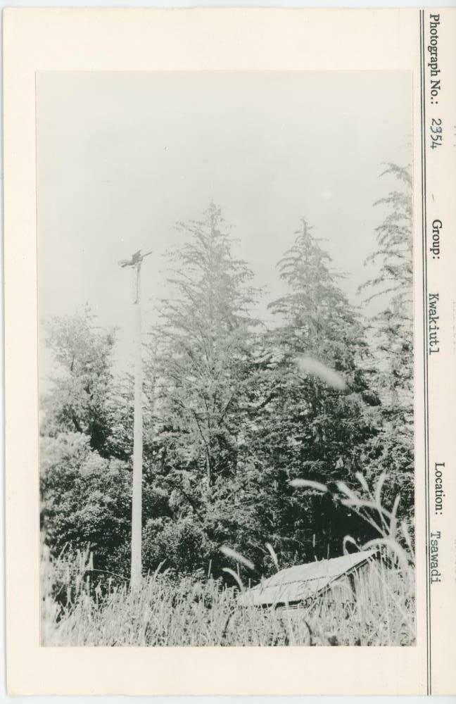 Image representing photograph.