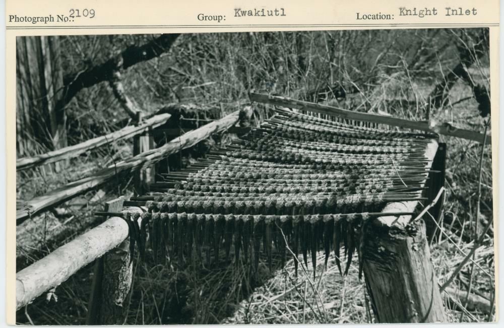 Image representing photograph.