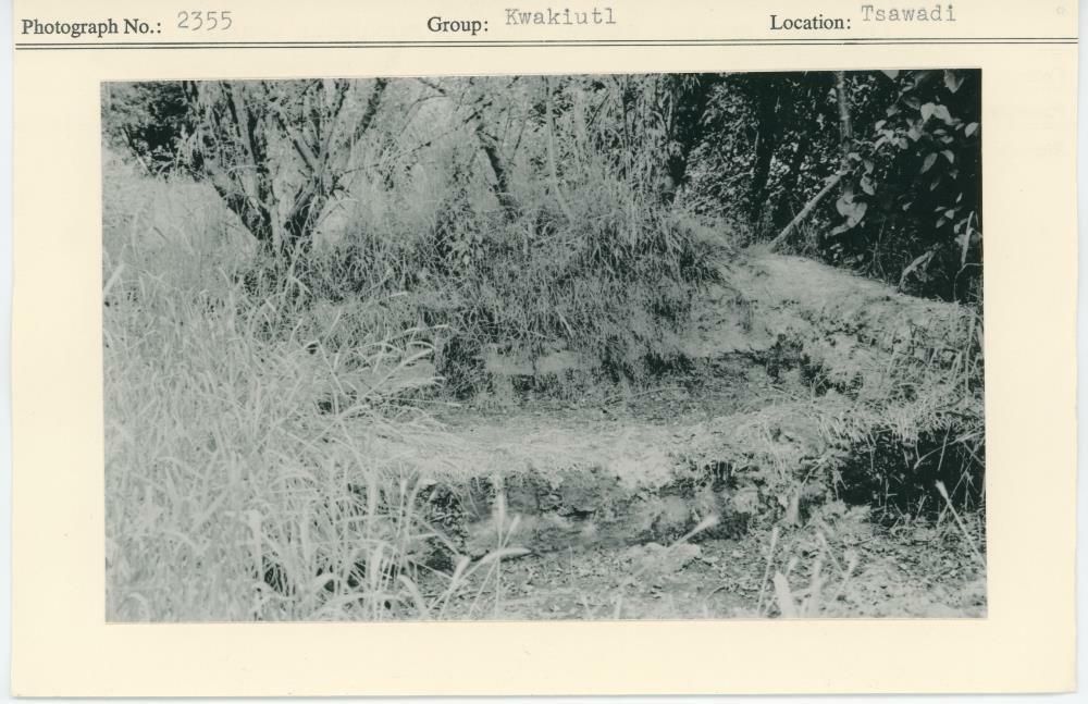 Image representing photograph.