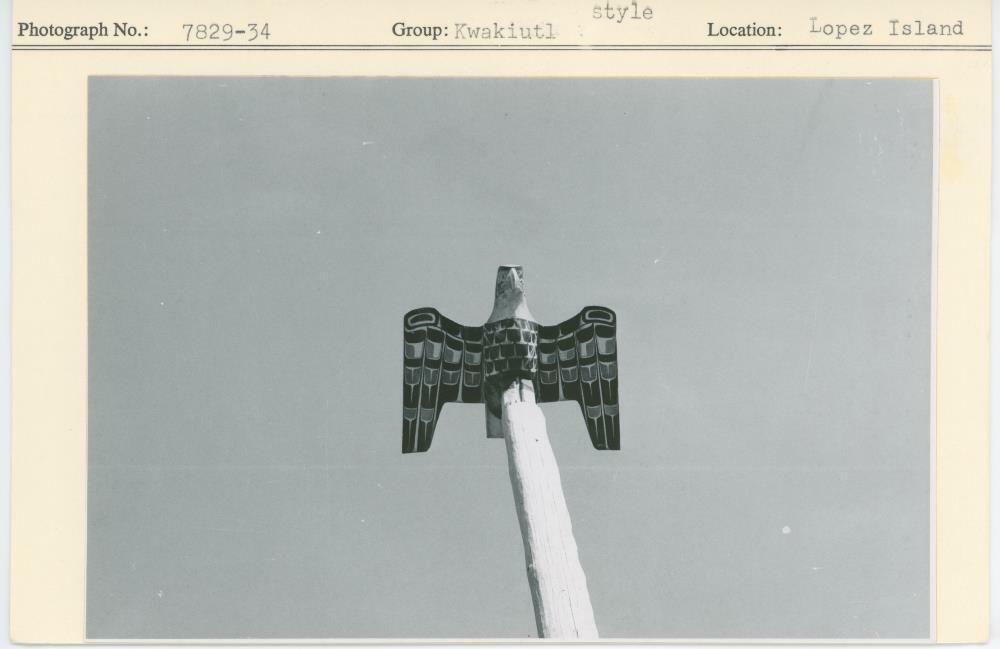 Image representing photograph.