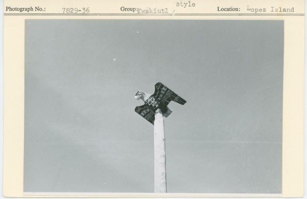 Image representing photograph.