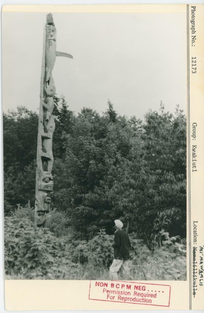 Image representing photograph.