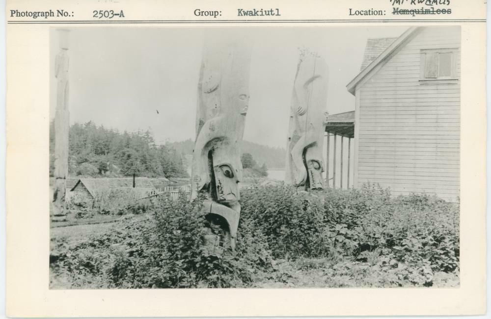 Image representing photograph.