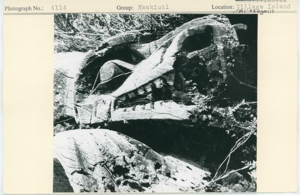 Image représentant photograph