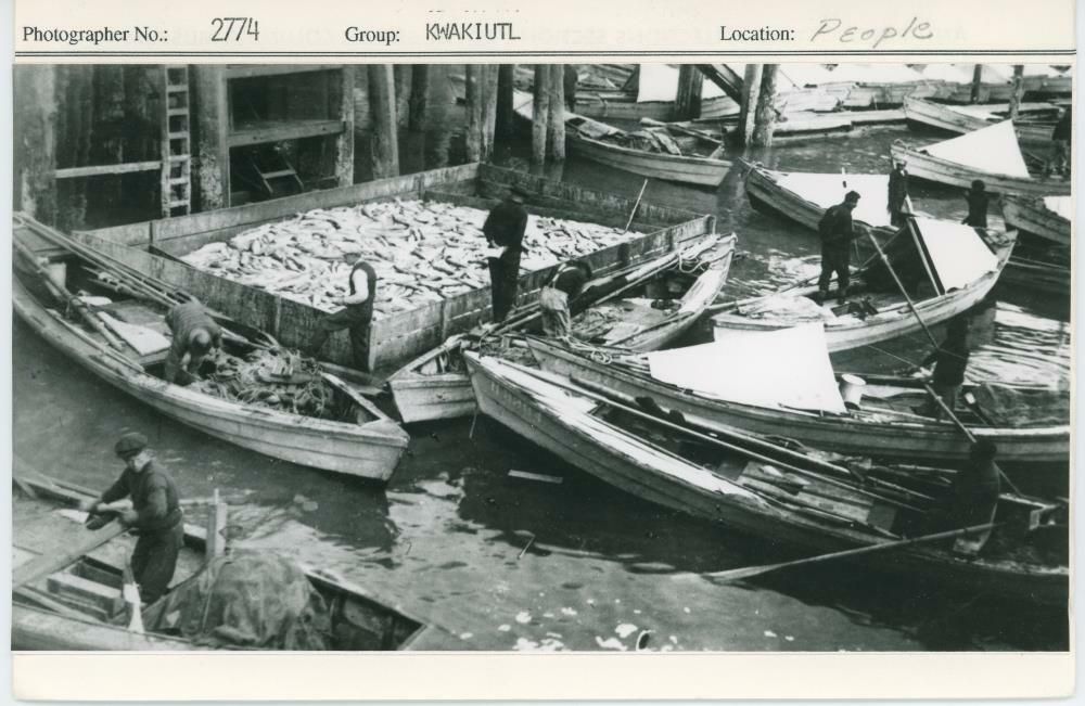 Image representing photograph.