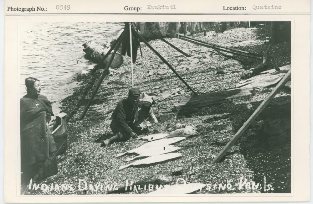 Image representing photograph.