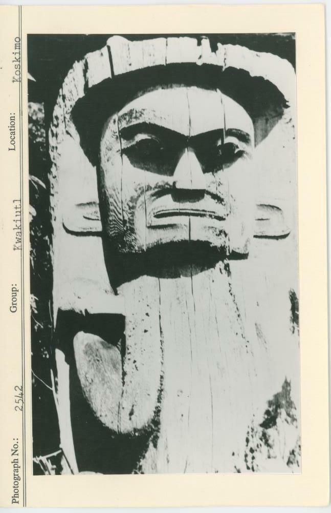 Image representing photograph.