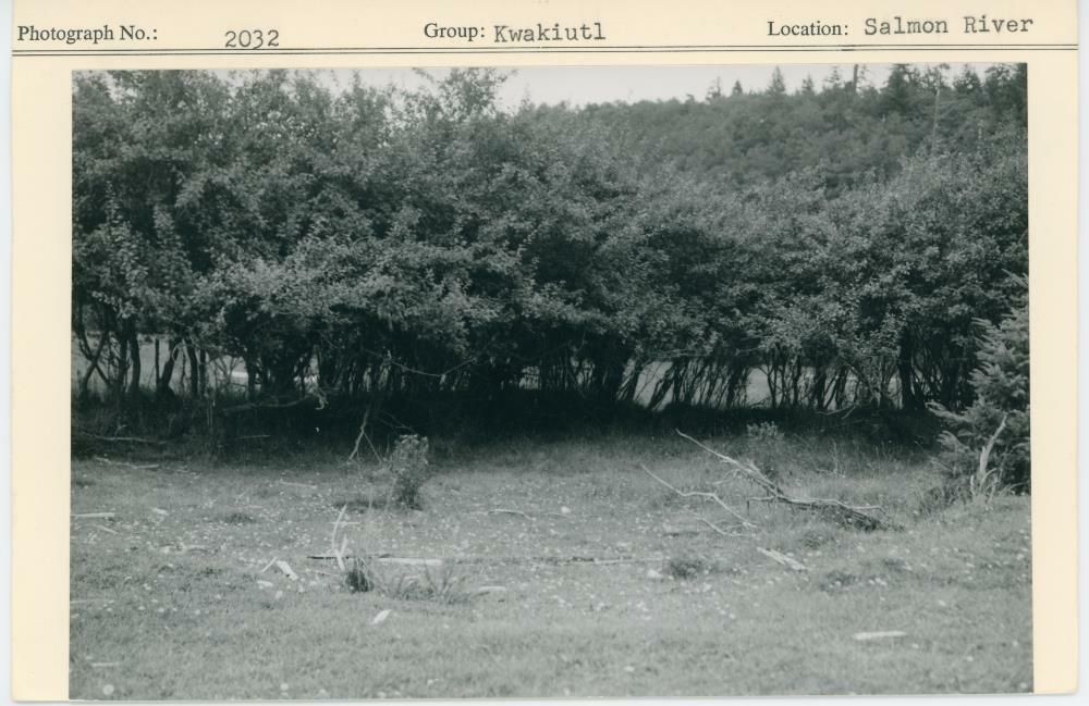 Image representing photograph.