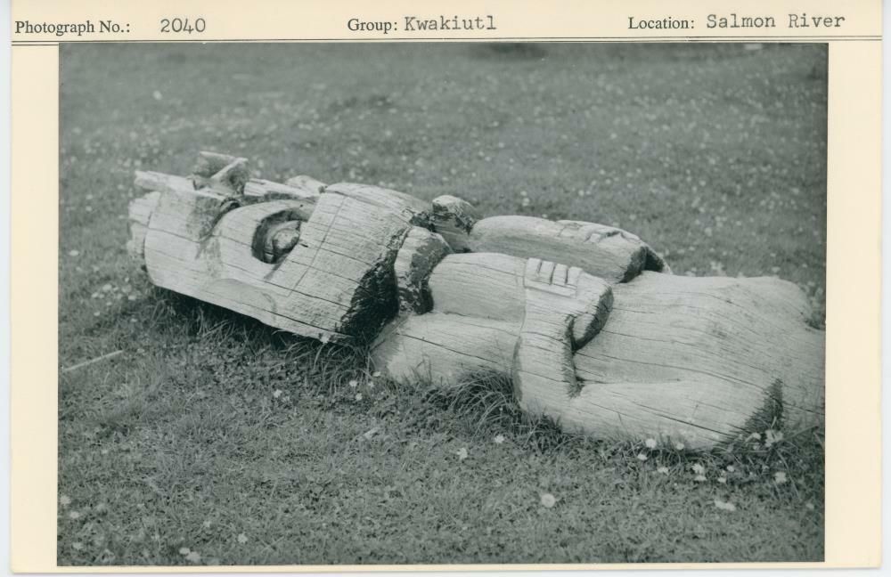 Image representing photograph.