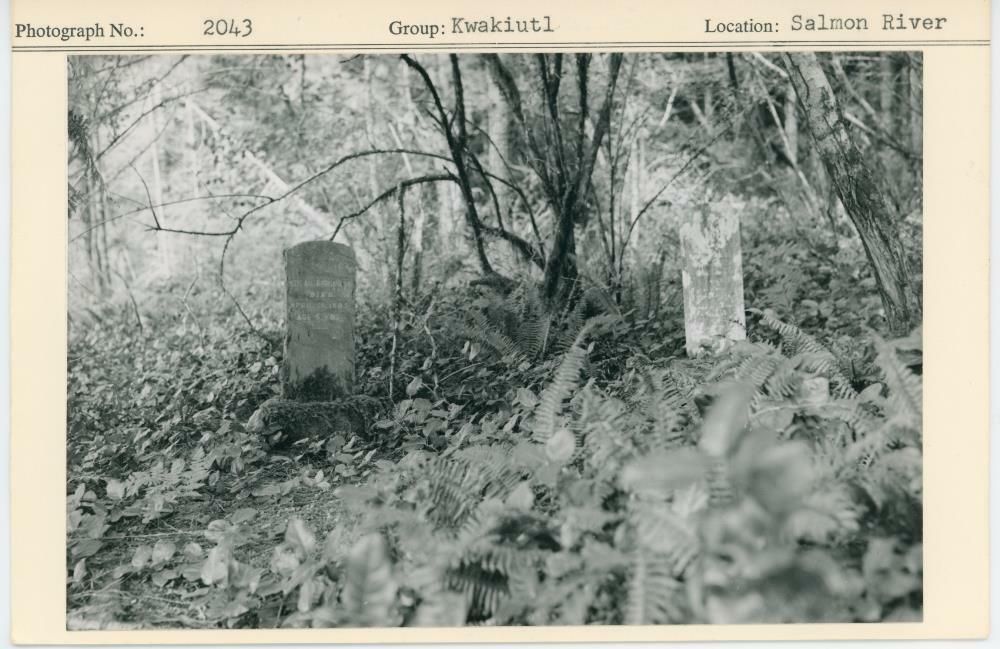 Image representing photograph.