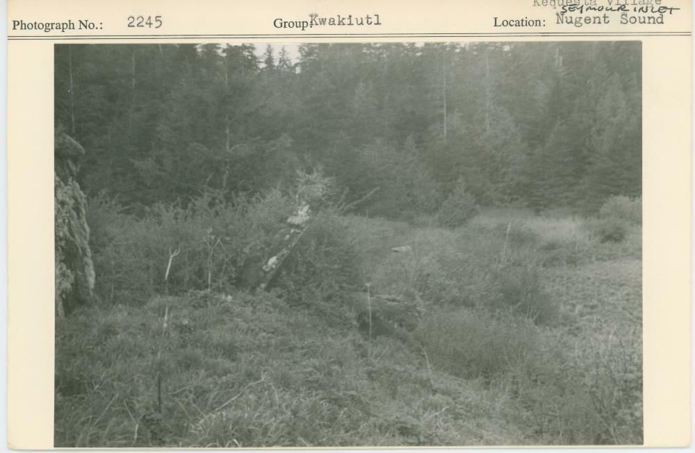 Image representing photograph.