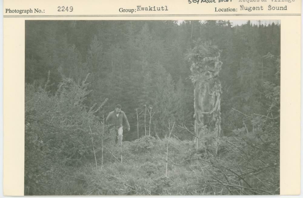 Image representing photograph.