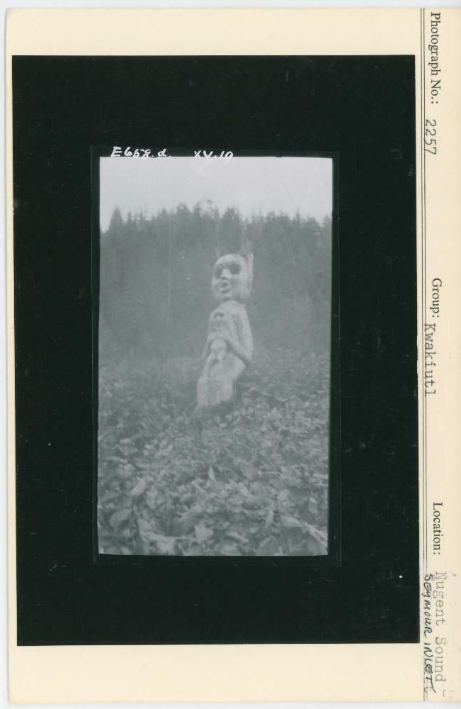 Image representing photograph.