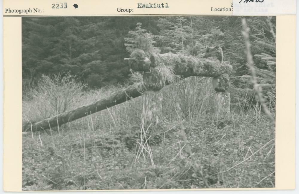 Image representing photograph.