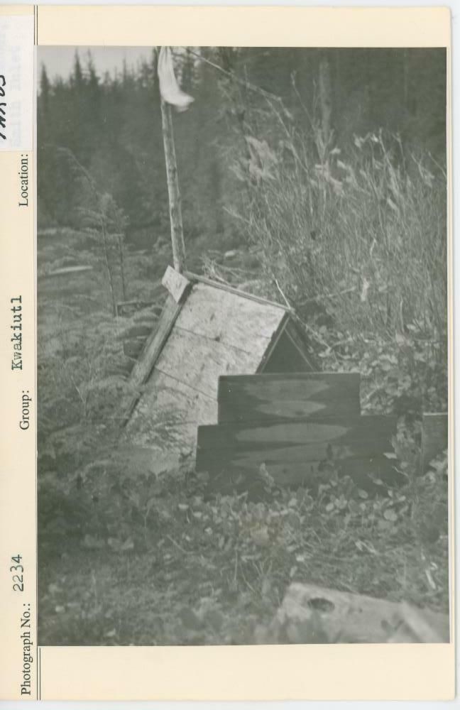 Image representing photograph.