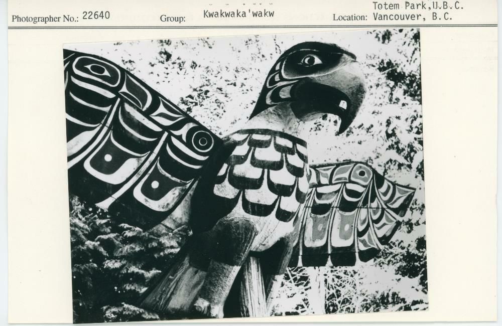 Image representing photograph.