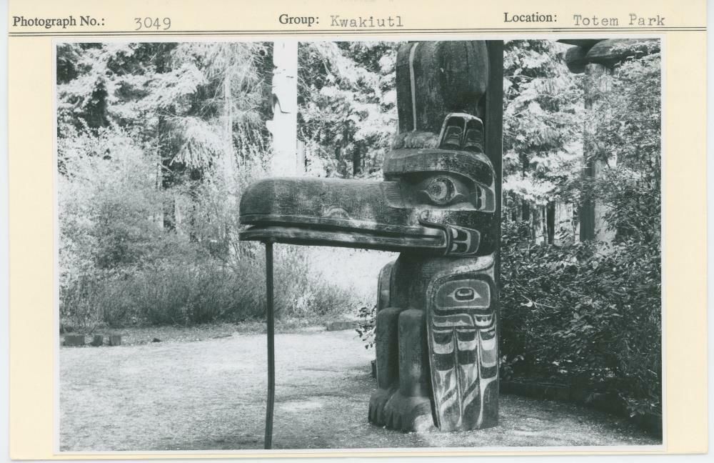 Image representing photograph.