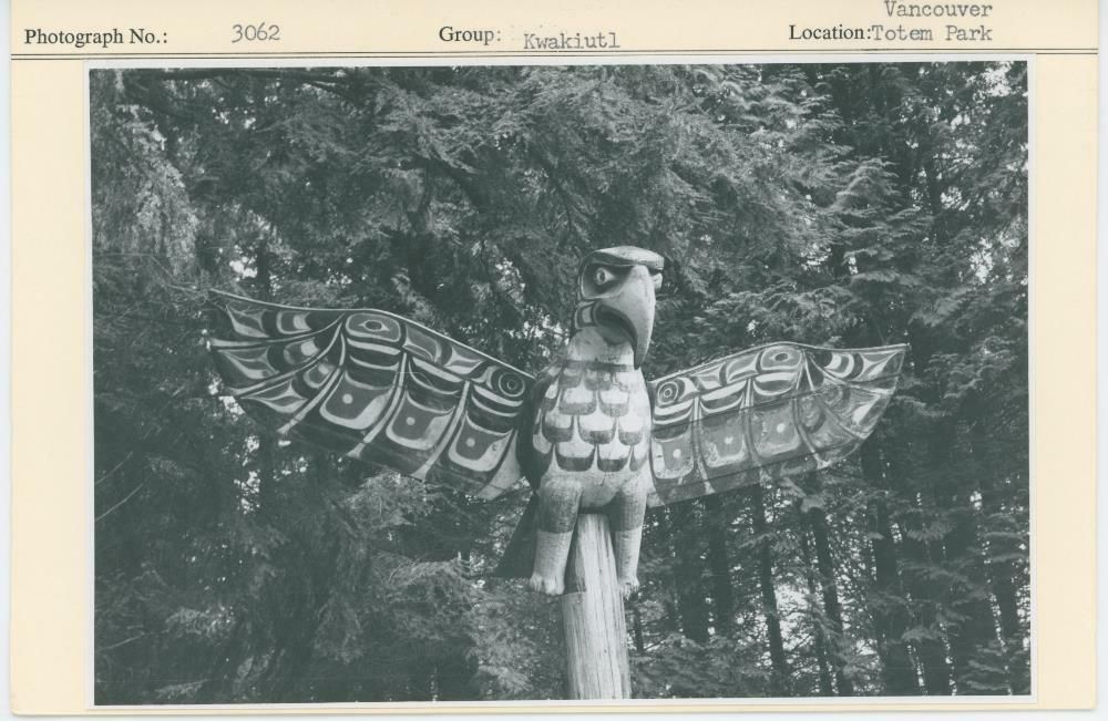 Image representing photograph.