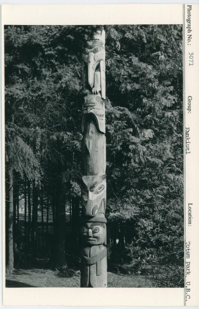 Image representing photograph.