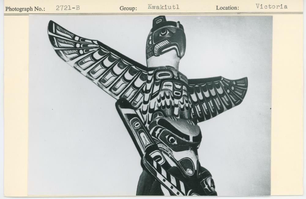 Image representing photograph.