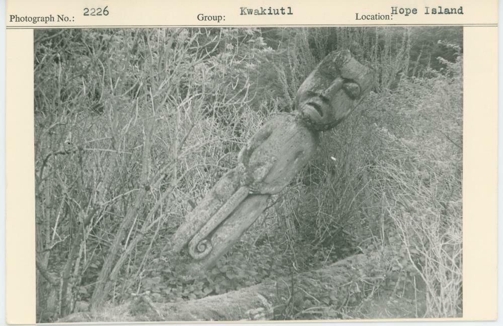 Image representing photograph.