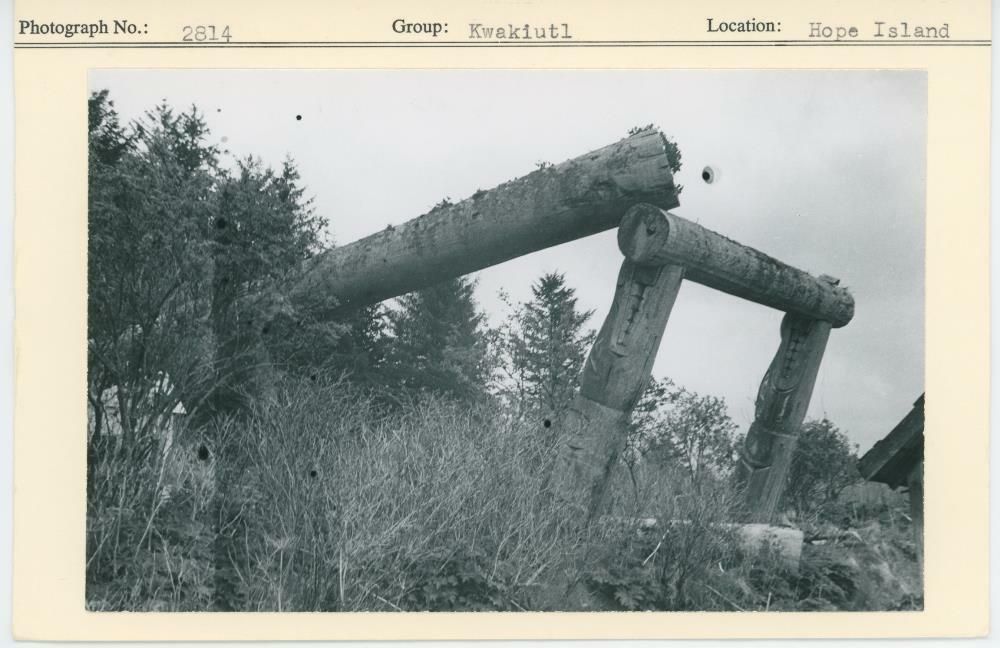 Image representing photograph.