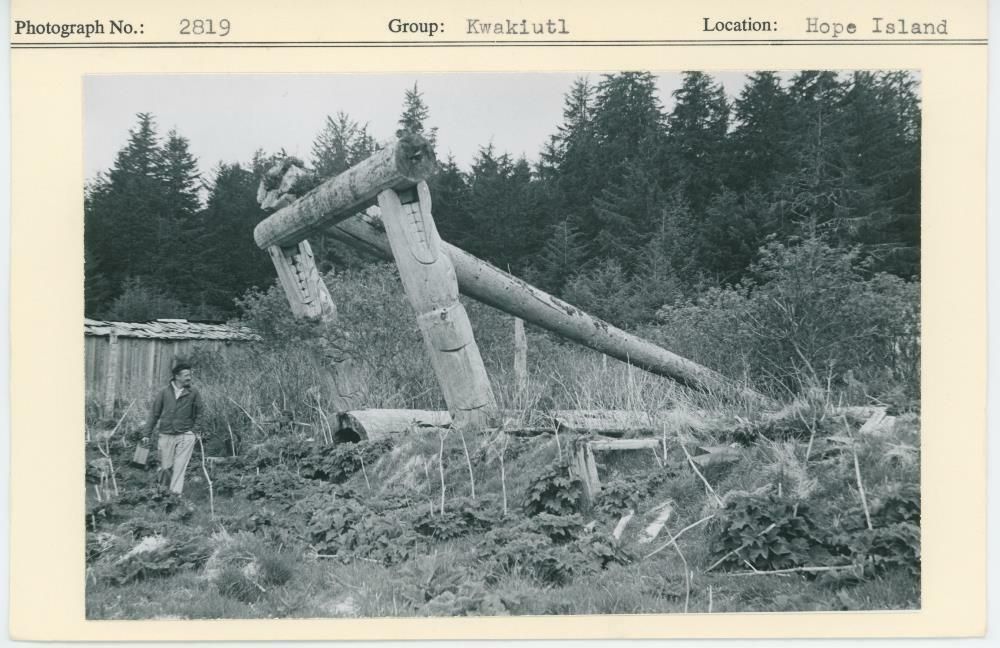 Image representing photograph.