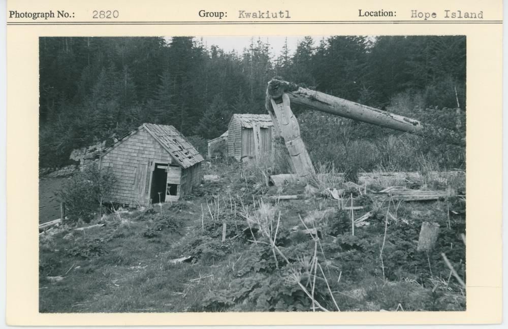 Image representing photograph.