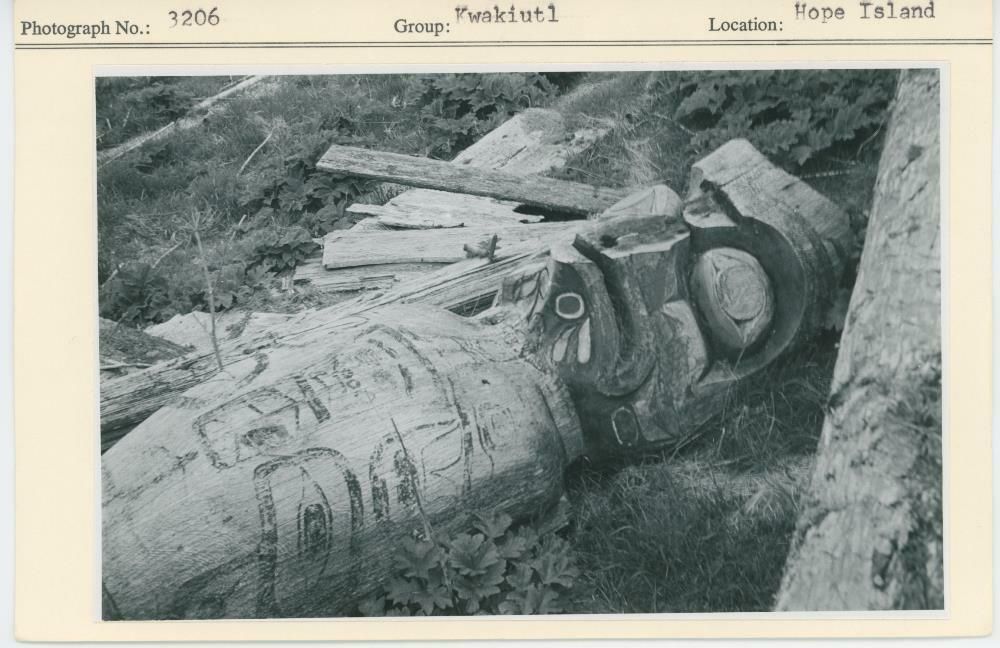 Image representing photograph.