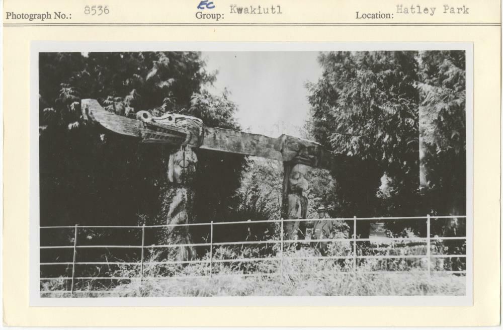 Image representing photograph.