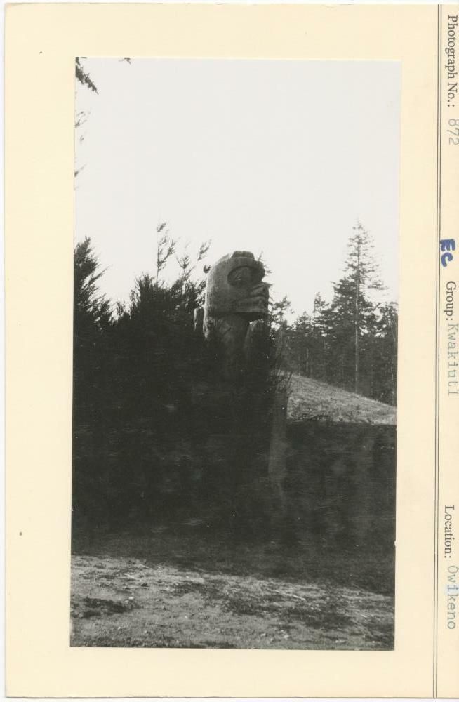 Image representing photograph.