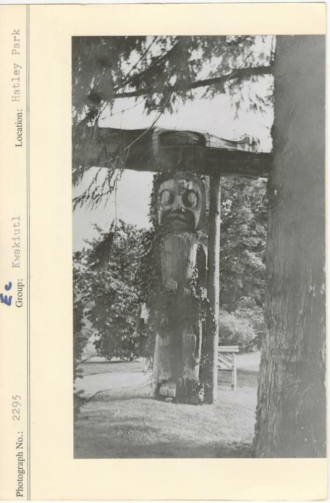 Image representing photograph.