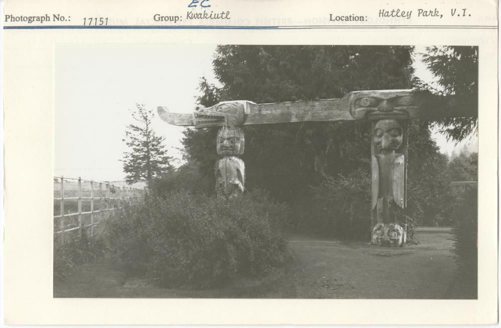 Image representing photograph.