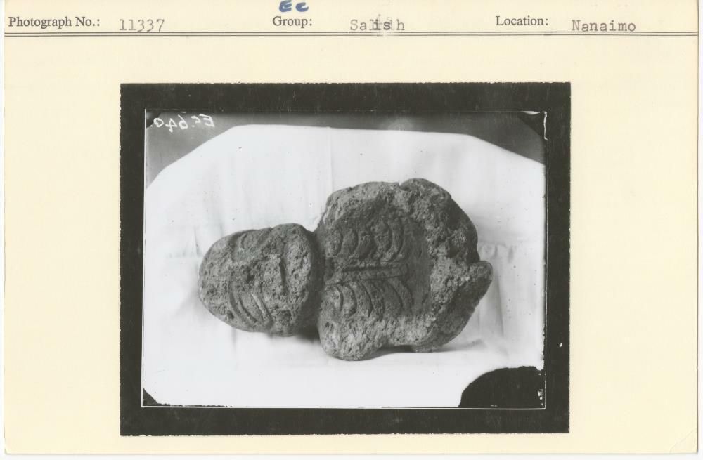 Image representing photograph.