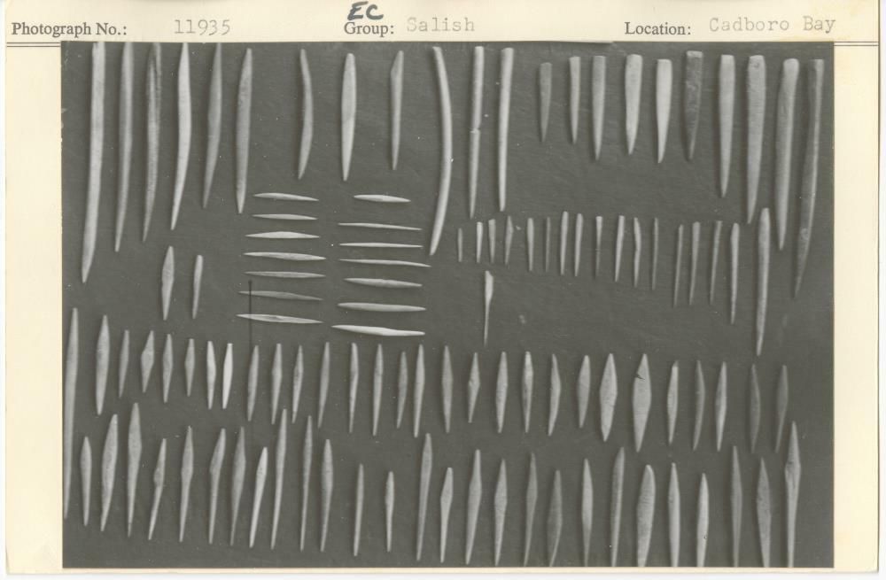 Image representing photograph.