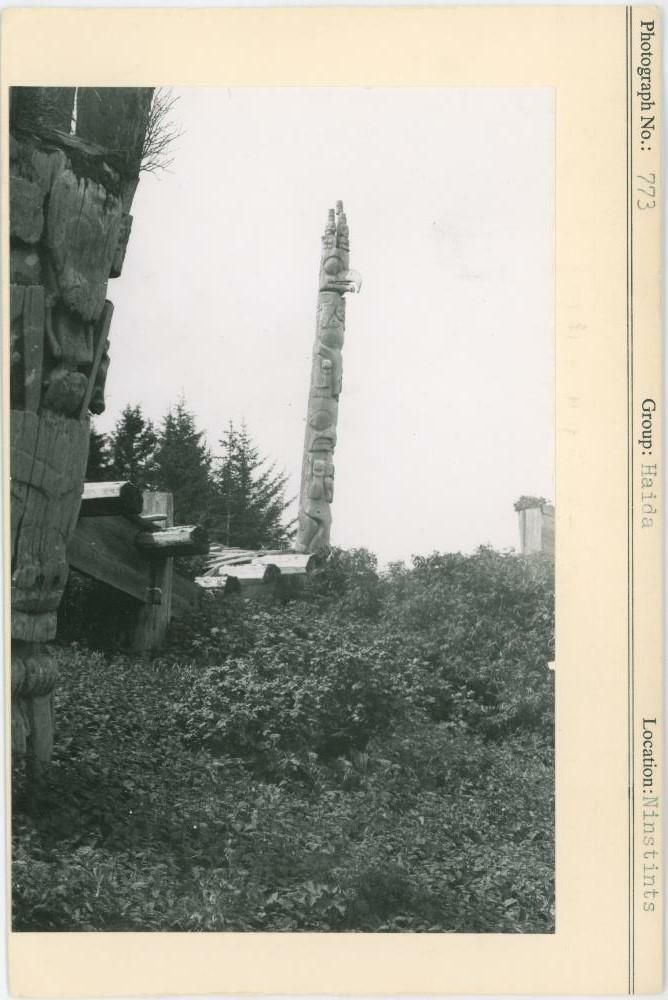 Image représentant photograph