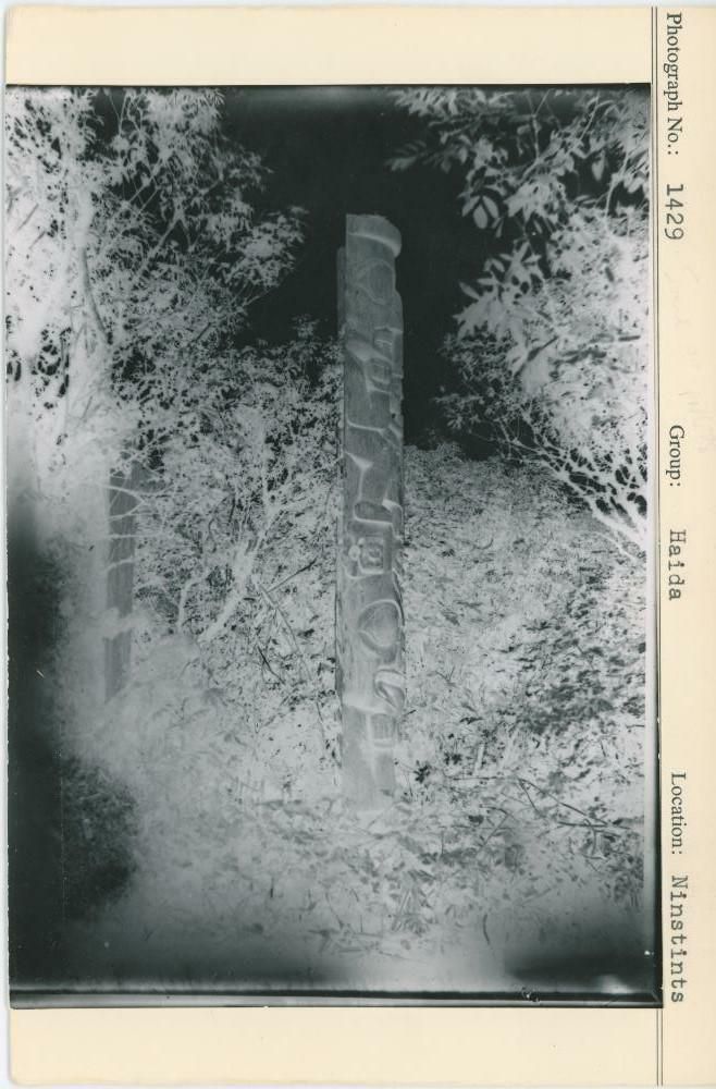 Image representing photograph.