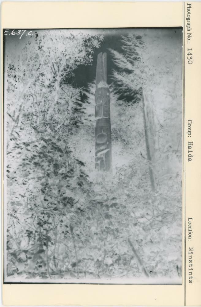 Image representing photograph.